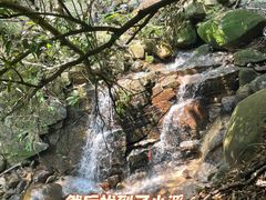 -火炉山森林公园