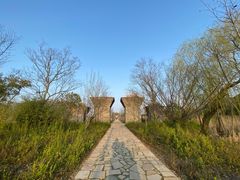 -广富林郊野公园