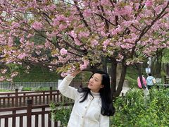 -西安市长乐公园