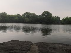 -西湖游船