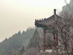 -北京凤凰岭