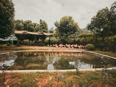 -武汉动物园