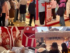 -海合安武汉极地海洋公园