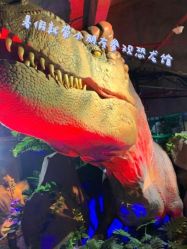 -恐龙探索乐园(磁器口店)