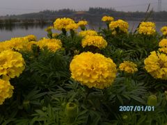 -红莲湖