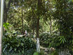 -成都市活水公园