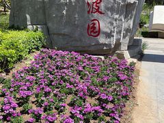 -武清南湖绿博园