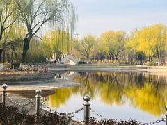-康庄公园