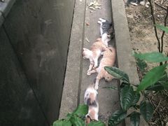 -金穗园·砂锅粥.醉鸡煲火锅(长寿路店)