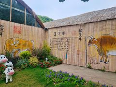 -苏州太湖西山岛开心农场
