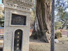-黄帝陵