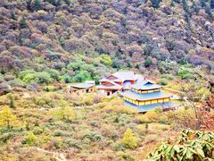 -黄龙山原始森林景区