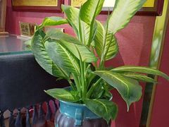 -观盐·盐帮菜(官园桥店)