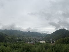 -天目山大树王景区