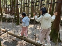 -重庆睡佛山森林公园