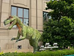 -国家自然博物馆