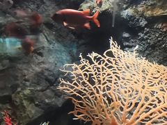 -太平洋海底世界