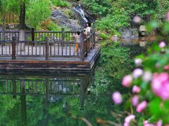 -九如山休闲旅游度假区