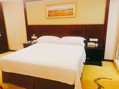 -维也纳酒店(深圳国际会展中心沙井上南店)