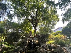 -上海醉白池公园