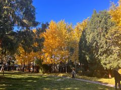 -清华大学-观畴园餐厅