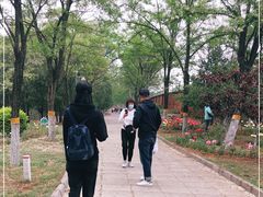 -云岗森林公园