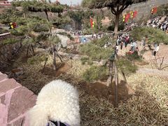 -苍岩山风景名胜区