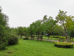 -滨河世纪广场公园