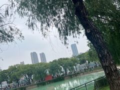 -武汉动物园