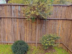 -半岛1919创意园区