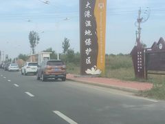 -南大港湿地风景区