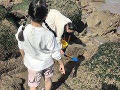 -嵊泗基湖沙滩