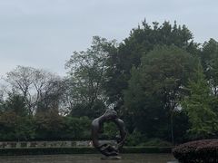 -重庆彩云湖湿地公园