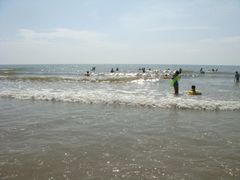 -日照海滨国家森林公园