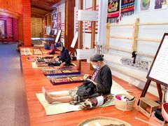 -海南槟榔谷黎苗文化旅游区