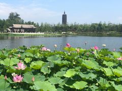 -西海子公园