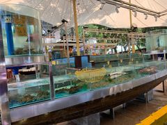 水产区-荔城生鲜盛宴(番禺旗舰店)