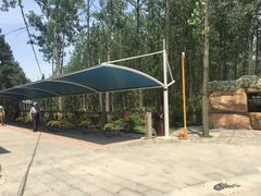 -合肥滨湖国家森林公园