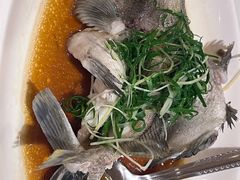 -强记海鲜·大排档(蛇口新街店)