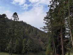 -武陵山森林公园