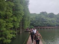 -采石矶景区