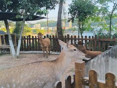 -杭州千岛湖开元度假村