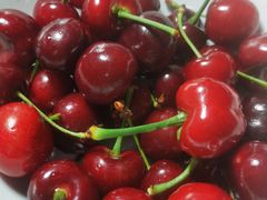 -老城南食府(宣武门东大街店)