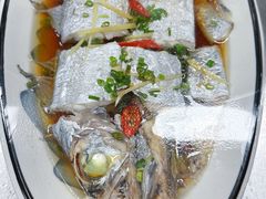 -鲸育宝宝月嫂(徐汇店)
