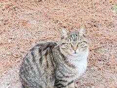 -狼山风景名胜区