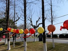 -太阳岛度假酒店