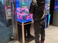 -花鸟鱼虫鲜花绿植市场(玉泉路店)