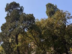 -嵖岈山风景区