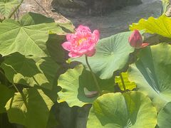 -书湘门地·中国十佳湘菜(西苑店)