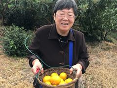 -朱鸿兴面馆(镇湖店)